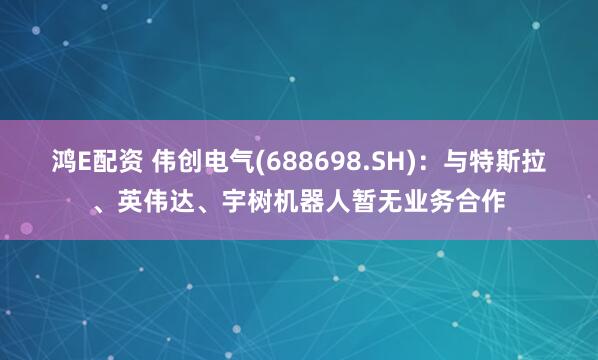 鸿E配资 伟创电气(688698.SH)：与特斯拉、英伟达、宇树机器人暂无业务合作