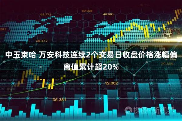 中玉束哈 万安科技连续2个交易日收盘价格涨幅偏离值累计超20%